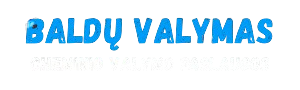 profesionalios cheminio valymo paslaugos